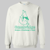 Cambridge - Heavy Blend™ Crewneck Sweatshirt